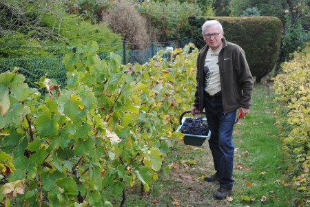 63a . Un des dernier "vigneron " du village .